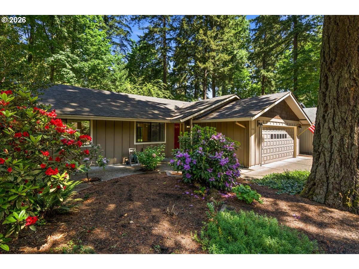 4341 COLLINS WAY