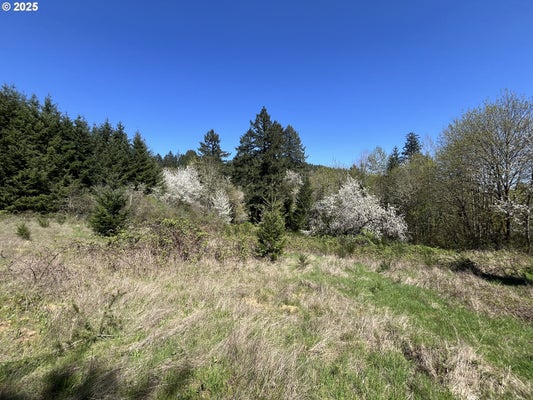 DAVID HILL RD, FOREST GROVE, OR 97116 - Image b77c5b347c19e1a82e6db8b2bd18db68/1852757077