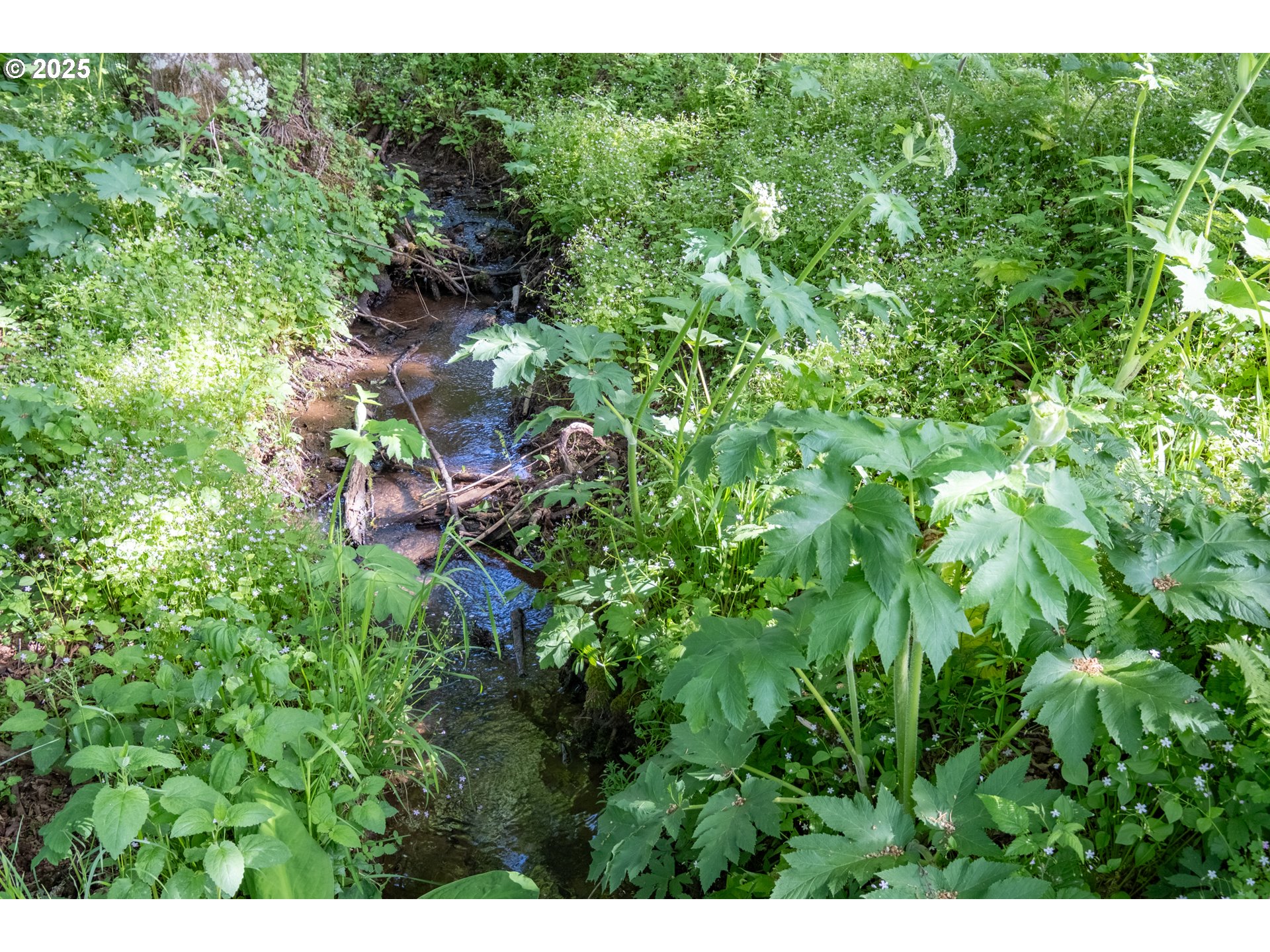 Turner, Oregon 97392, United States, 3 Bedrooms Bedrooms, ,3 BathroomsBathrooms,Residential,Active,34999