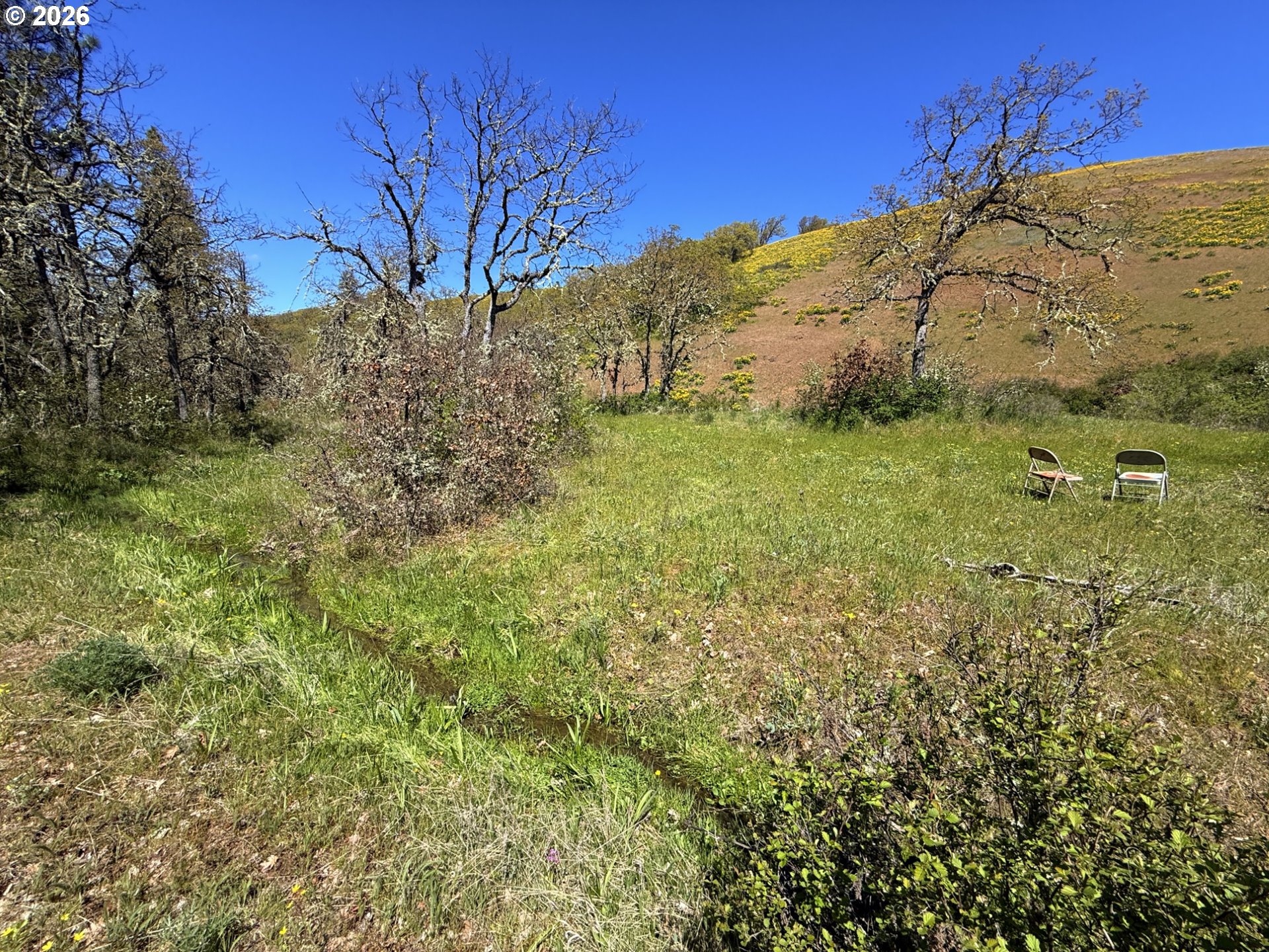 Kestrel RD