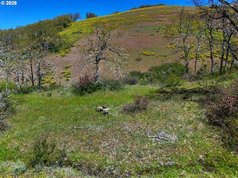 Kestrel RD Lyle WA 98635