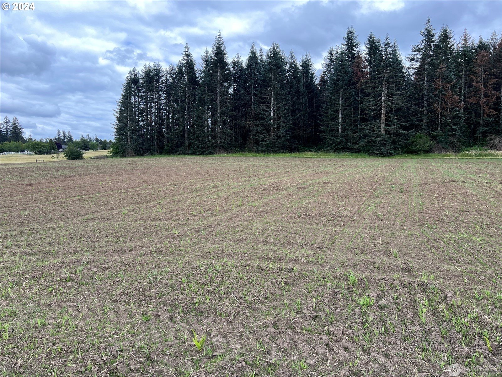 SE 303rd AVE