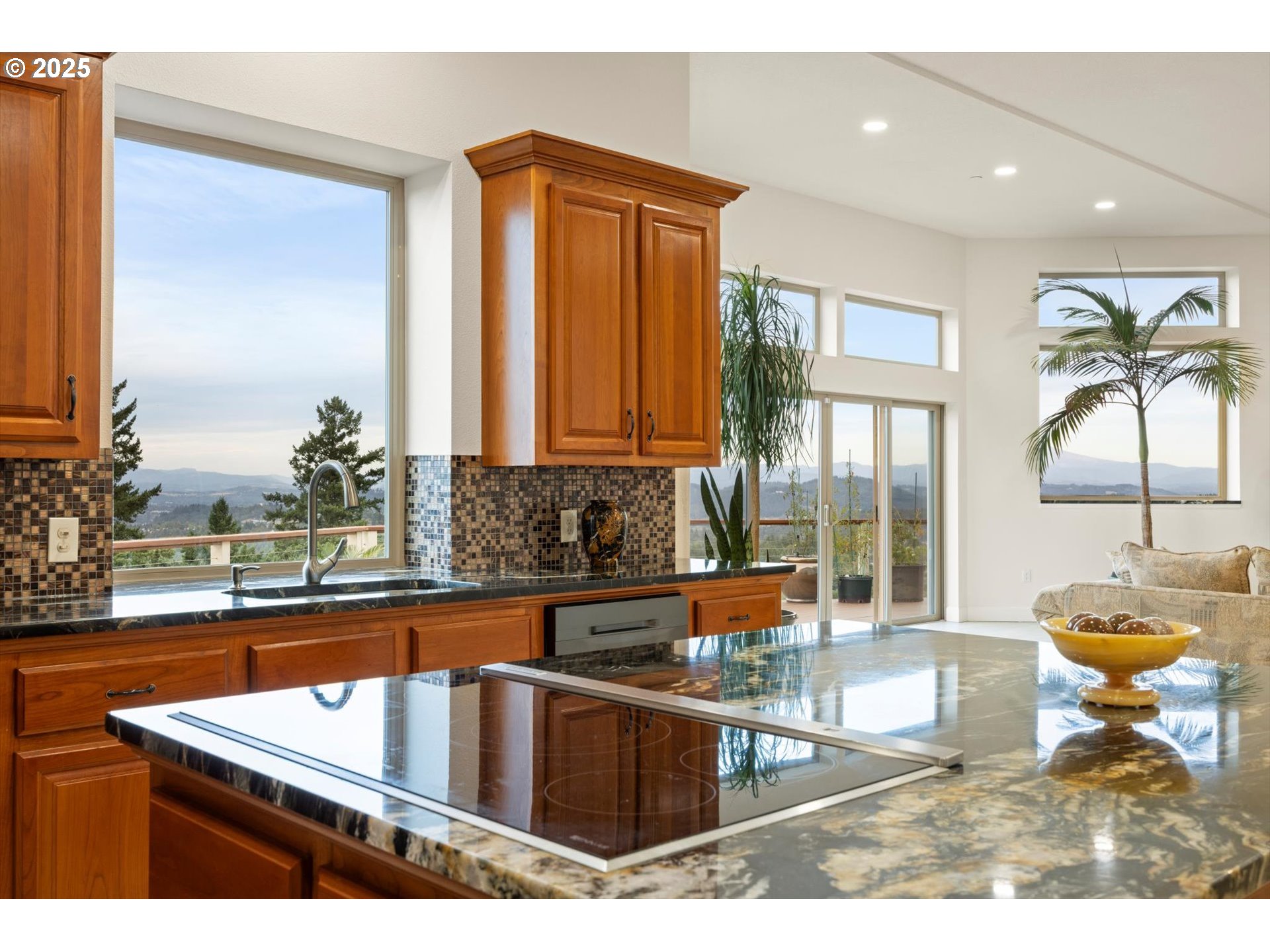 11041 SE SCOTTS SUMMIT CT