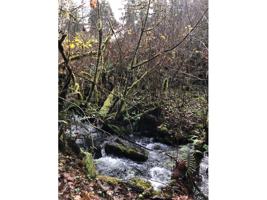 17719 NE MANNING CIR