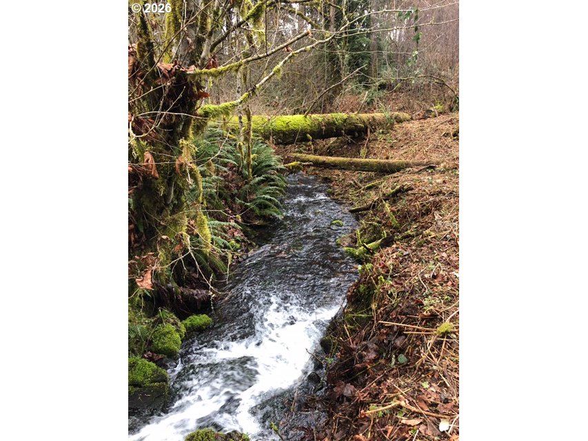 17719 NE MANNING CIR