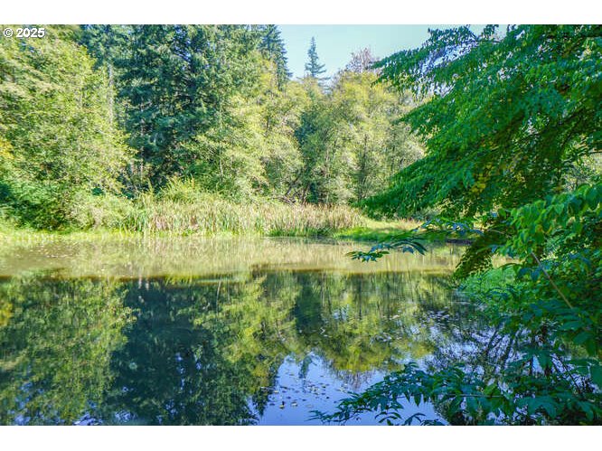 17719 NE MANNING CIR