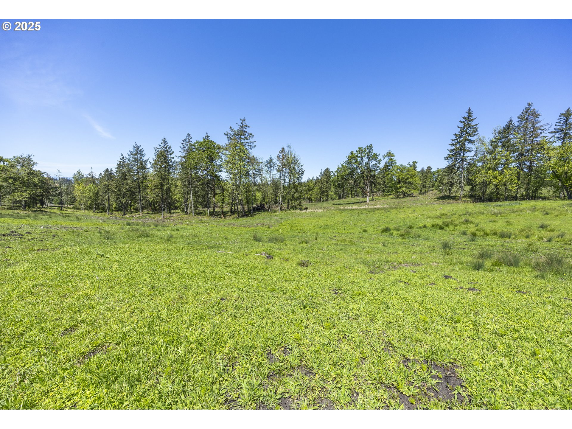 Lot 6