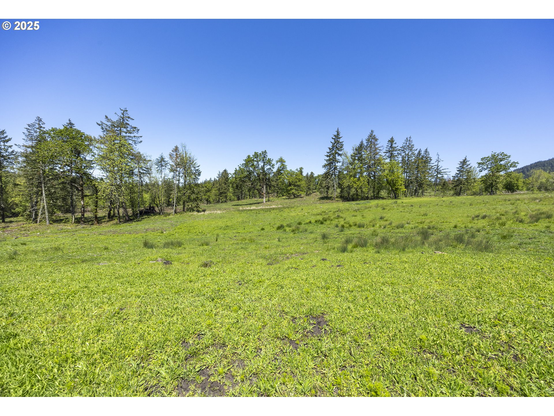 Lot 6