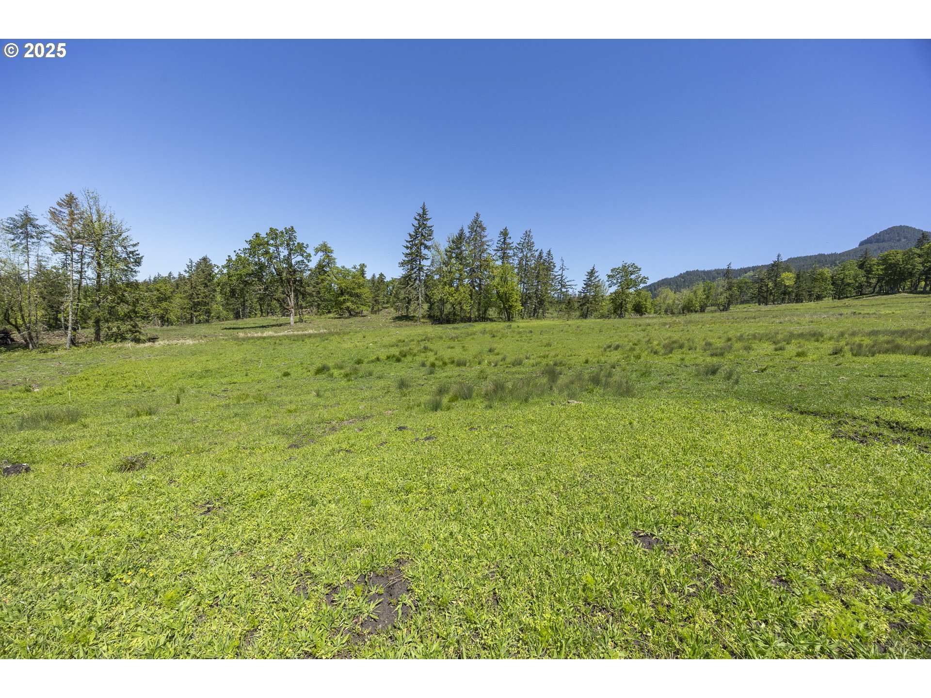 Lot 6