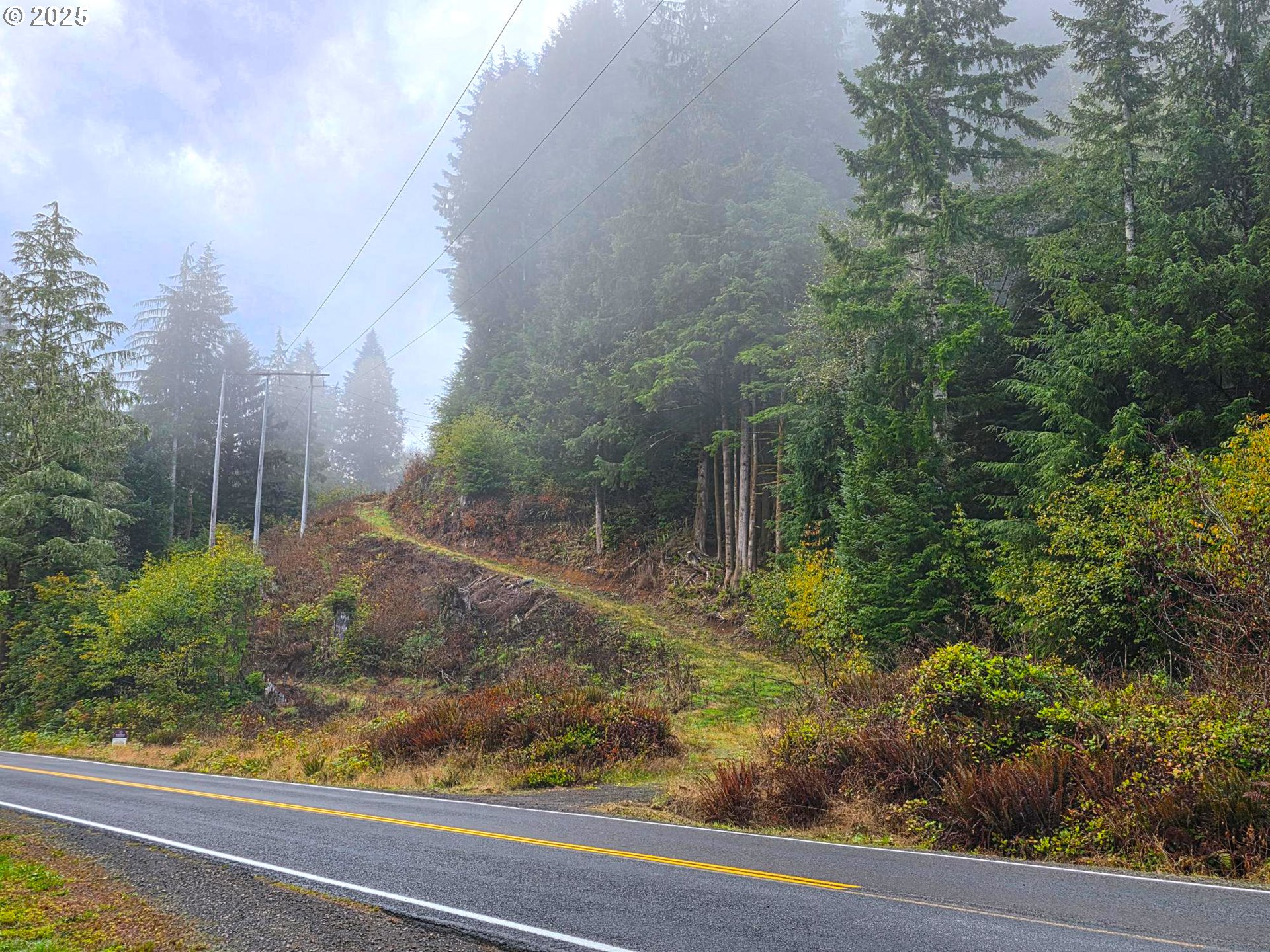 Nehalem, Oregon 97131, United States, ,Land,Active,70960