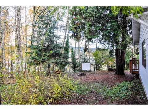 A home in Clatskanie