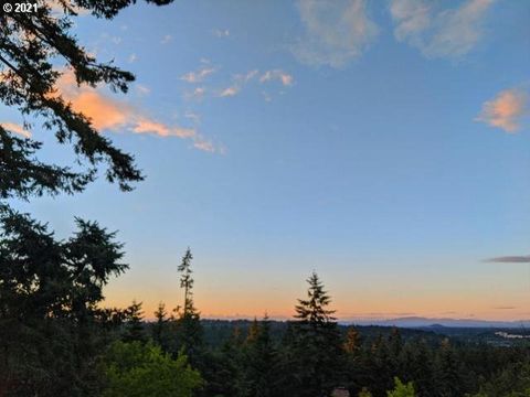 A home in Lake Oswego