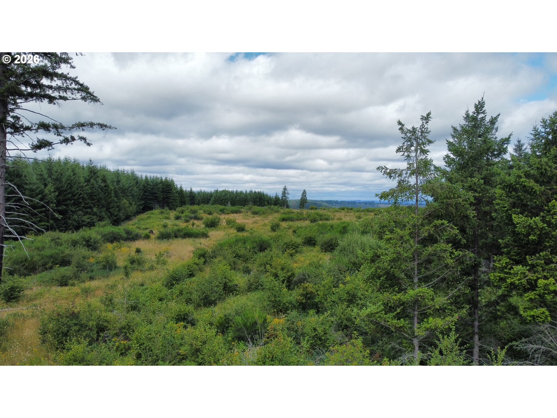 37489 SE HIGHWAY 224