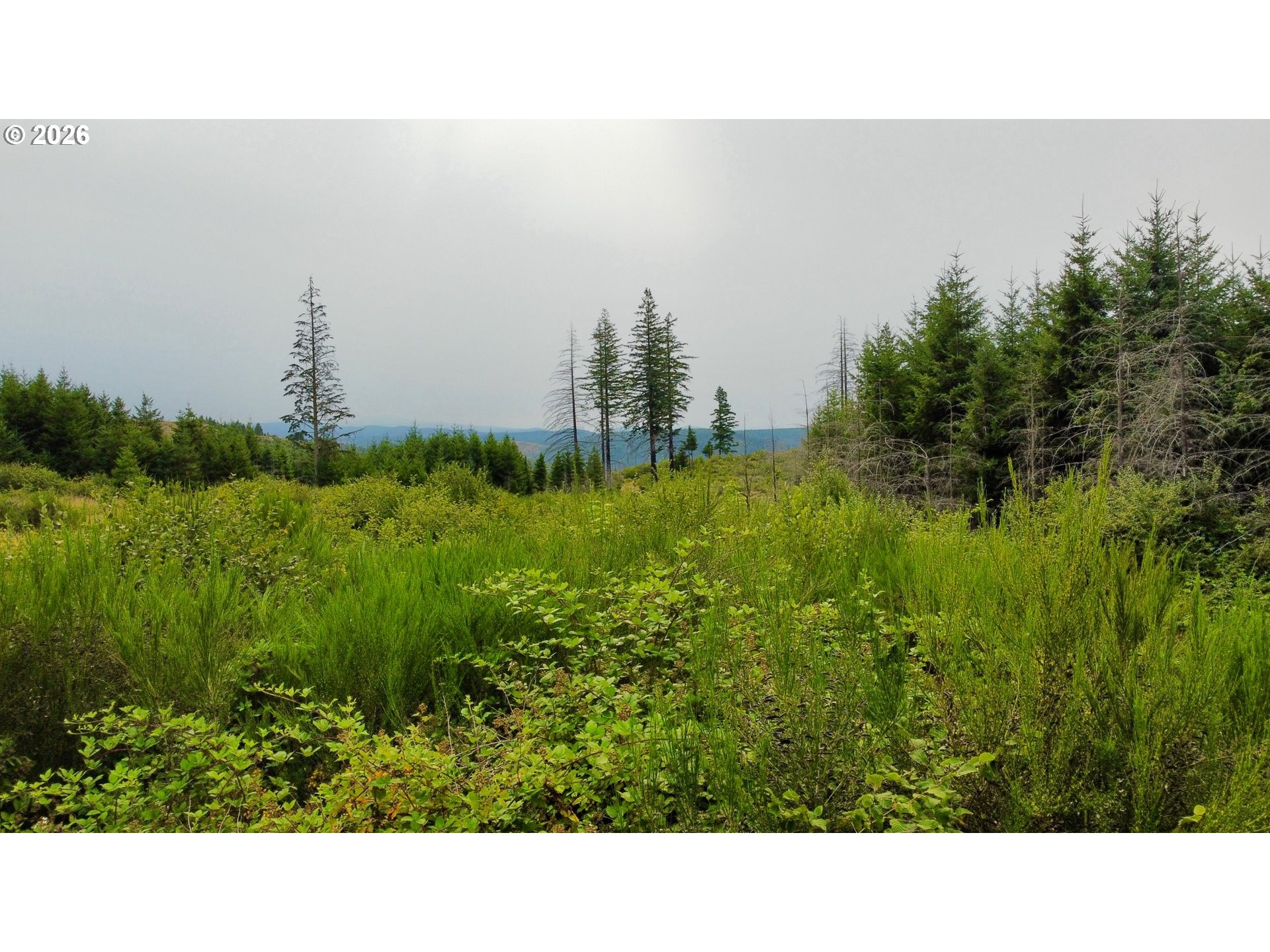 37489 SE HIGHWAY 224