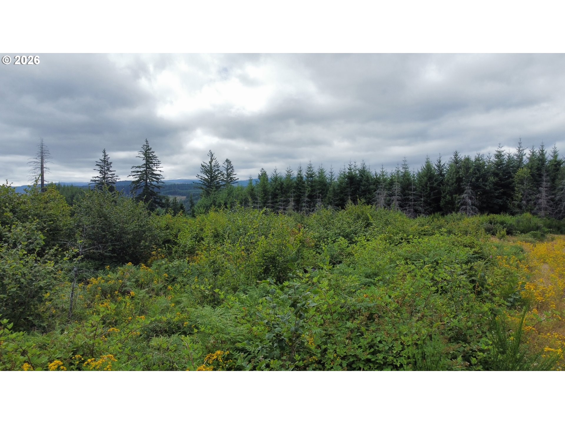 37489 SE HIGHWAY 224