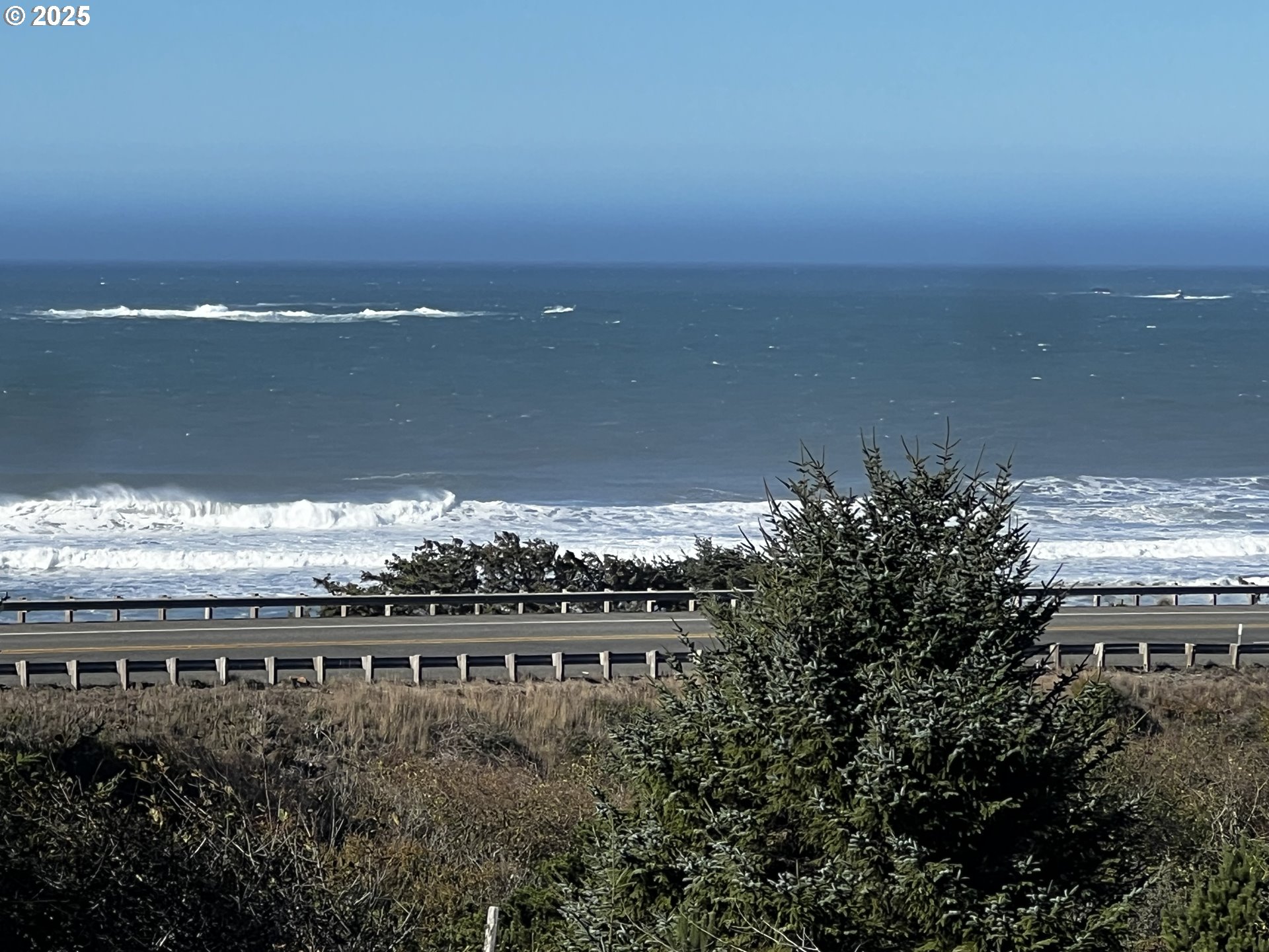 Driftwood DR