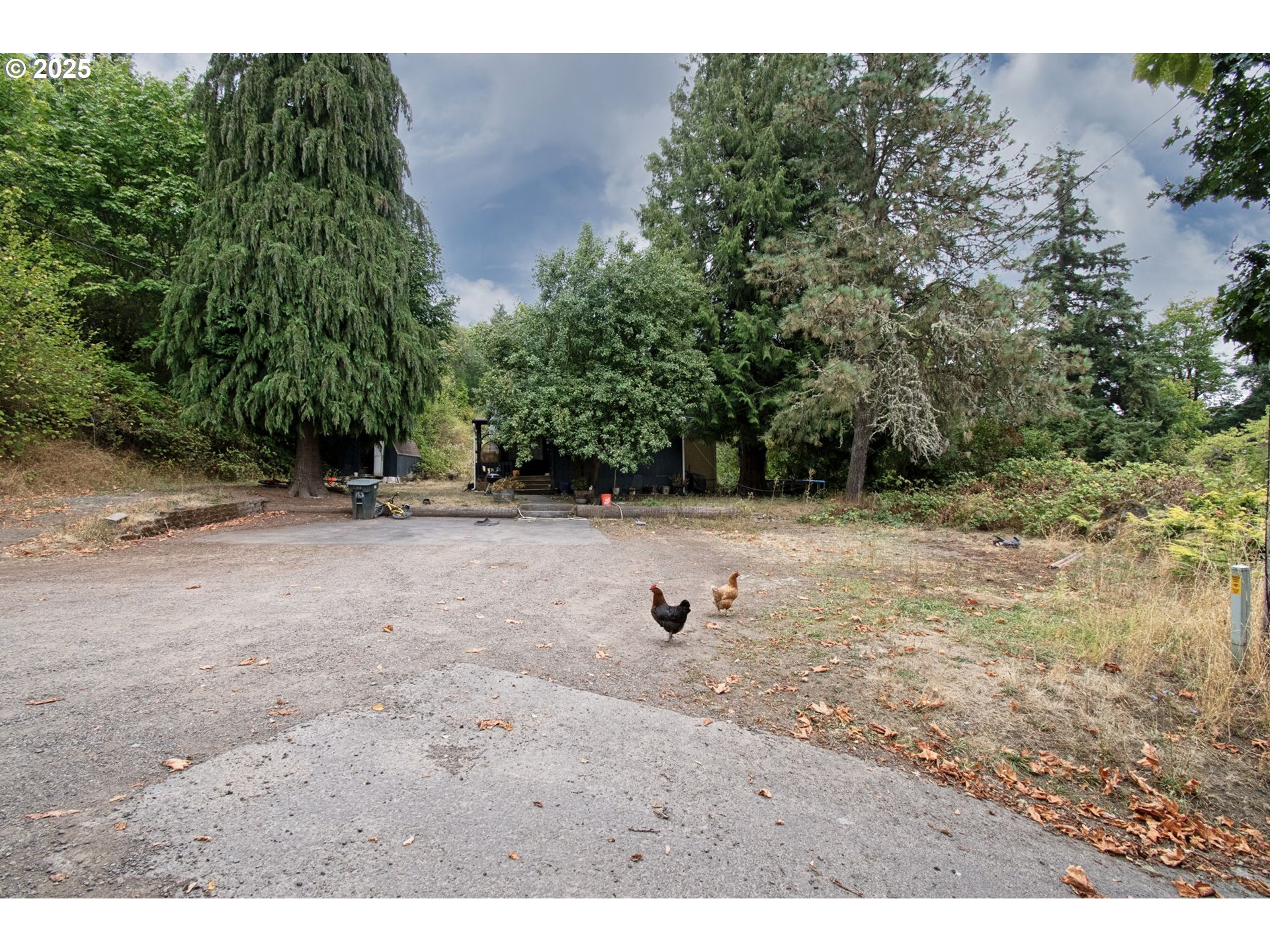 406 CHEHALIS