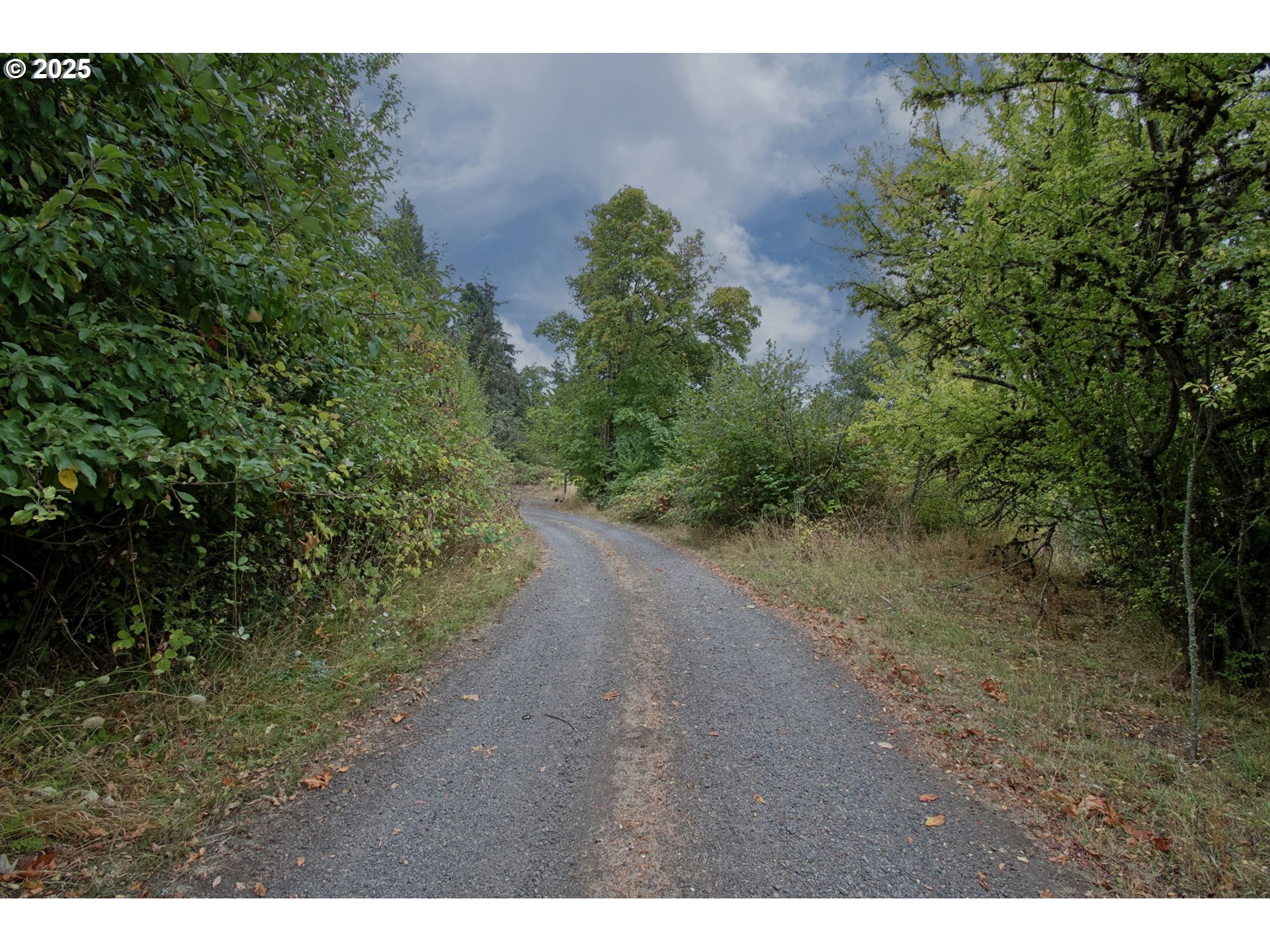 406 CHEHALIS
