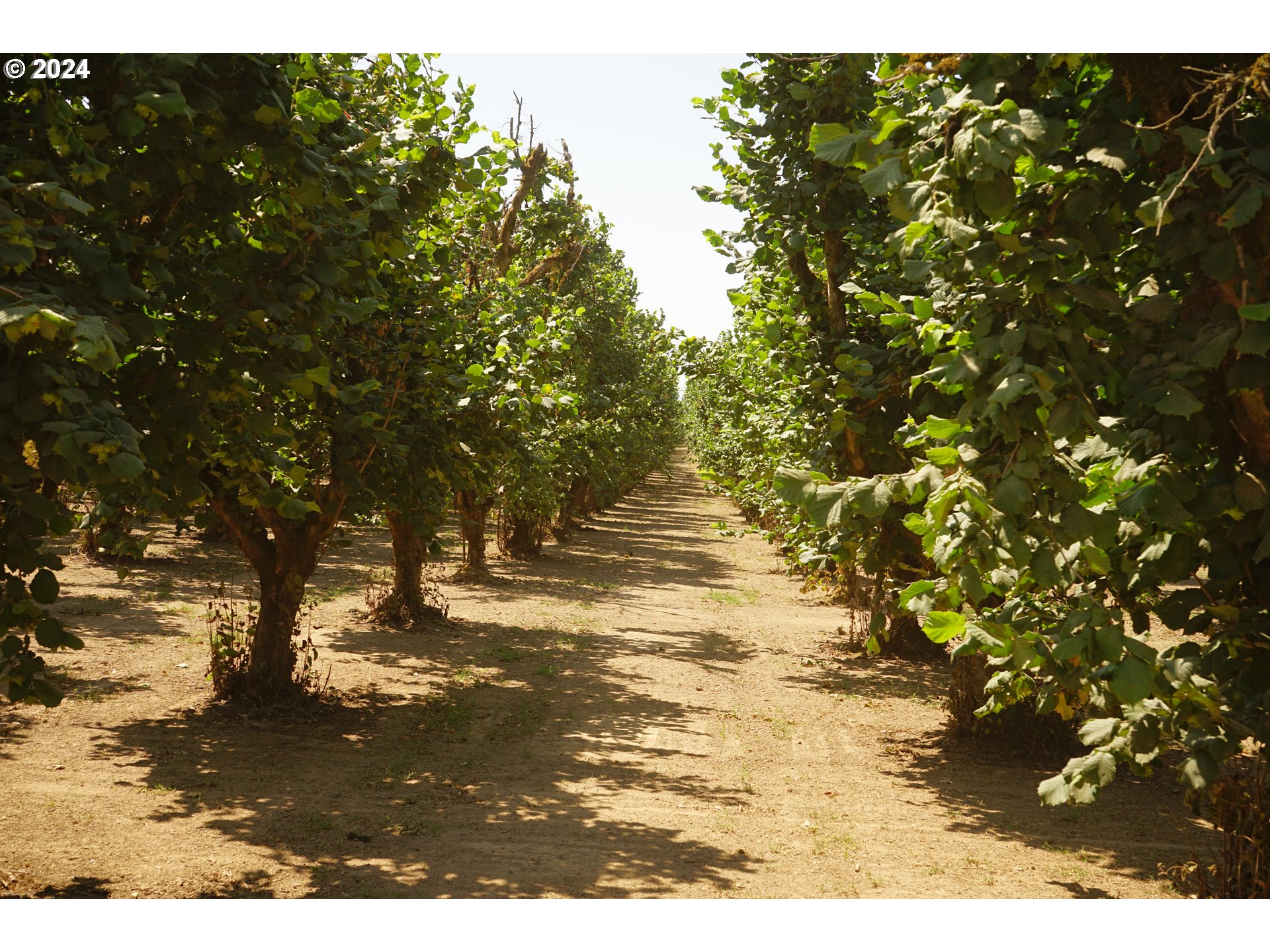 Rickreall, Oregon 97371, United States, ,Residential,Active,45781