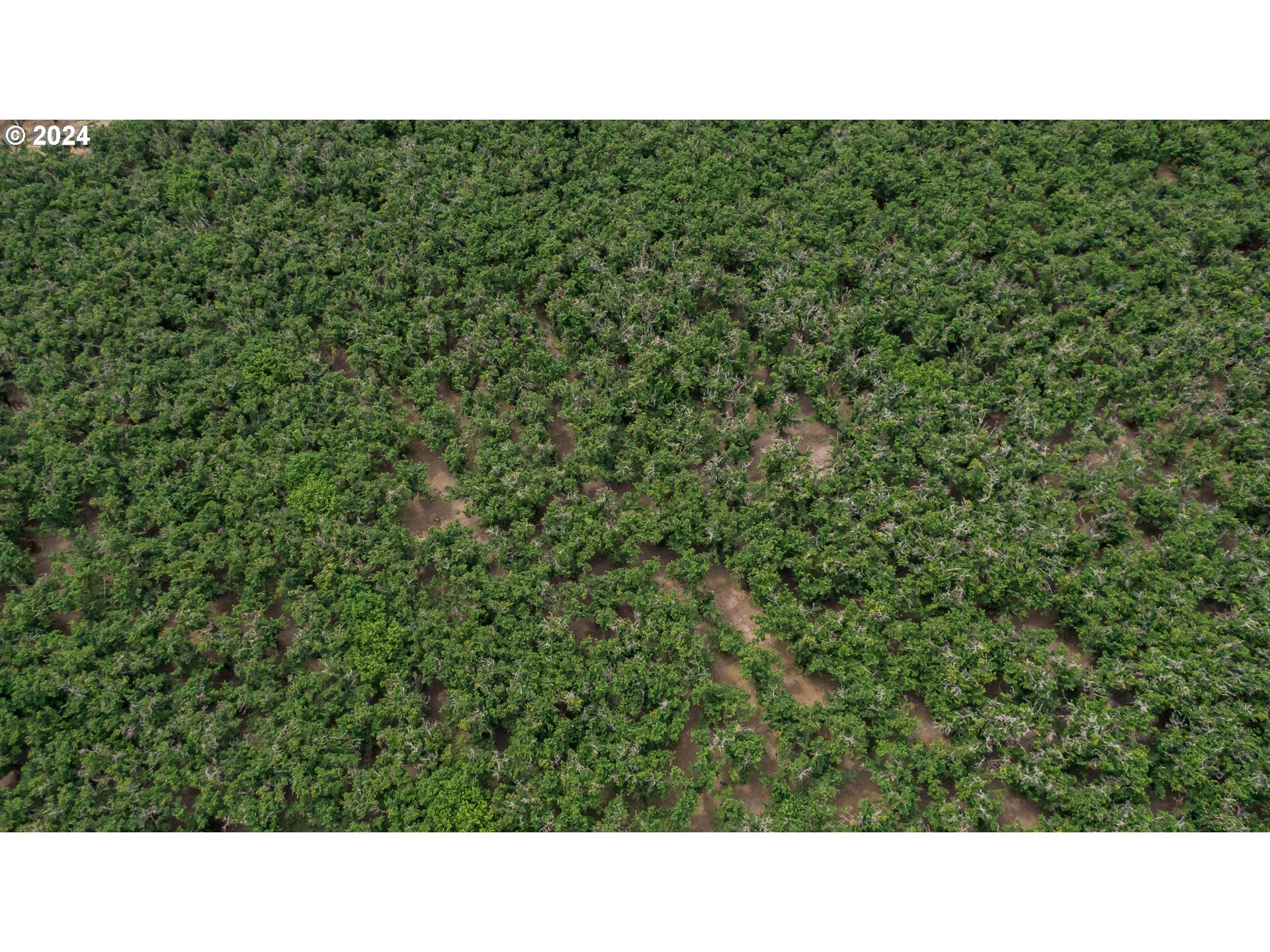 Rickreall, Oregon 97371, United States, ,Residential,Active,45781