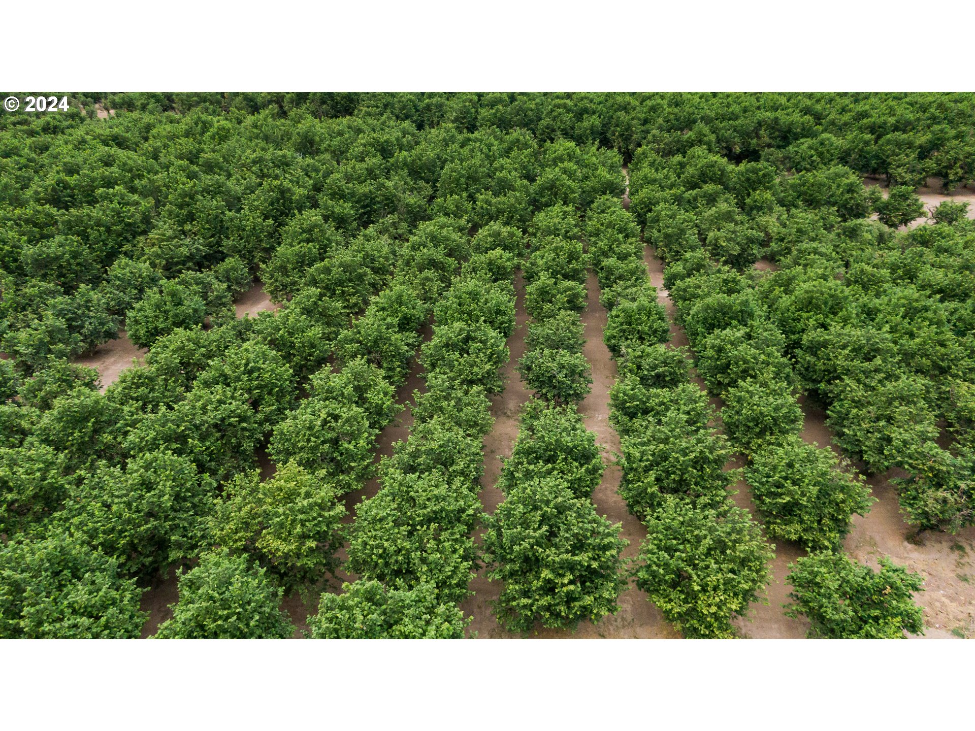 Rickreall, Oregon 97371, United States, ,Residential,Active,45781