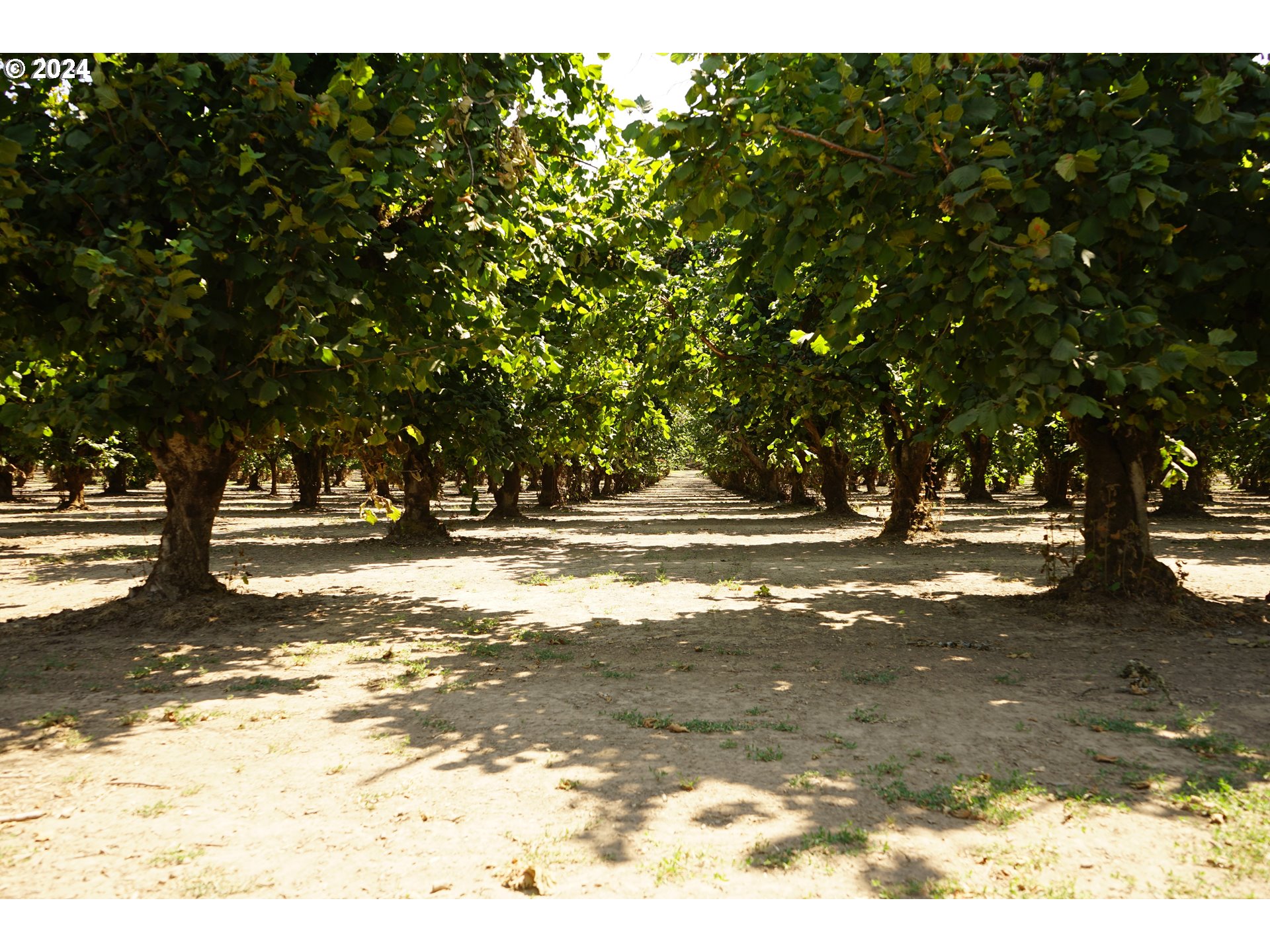 Rickreall, Oregon 97371, United States, ,Residential,Active,45781