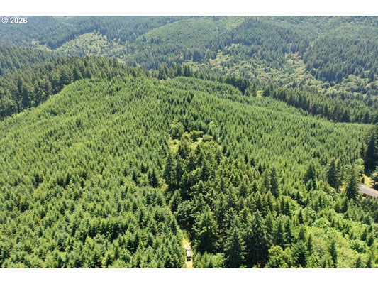HIGH PASS RD, JUNCTION CITY, OR 97448 - Image bc2ebfbb22f7bd334f0e8d75948f6cb4/1435884684