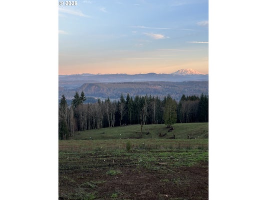 208 SUNCREST DR, CASTLE ROCK, WA 98611 - Image bc7950aa902ff988219425c078a2bea7/3692722479