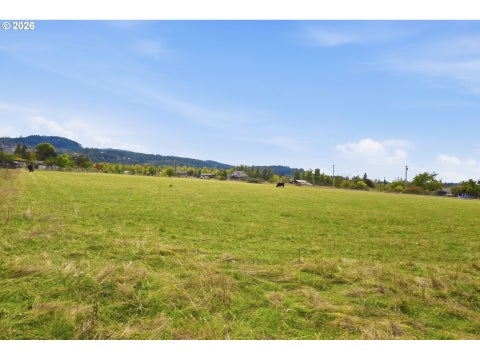Tiny photo for 84587 Hilltop Dr, Pleasant Hill, OR 97455 (MLS # 157508954)