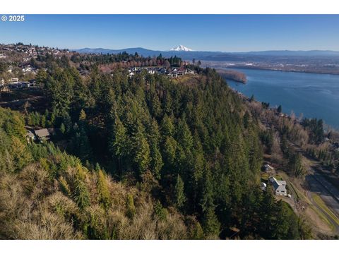 Photo of Brady Rd, Camas, WA 98607 (MLS # 599817703)