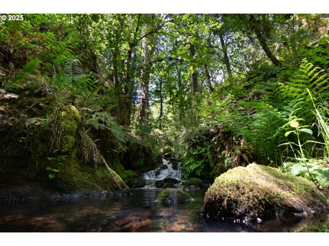 Tiny photo for 77690 Brock Rd, Oakridge, OR 97463 (MLS # 203141613)