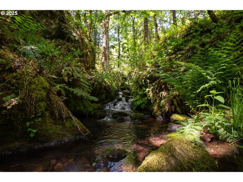 Tiny photo for 77690 Brock Rd, Oakridge, OR 97463 (MLS # 203141613)