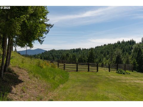 Tiny photo for 77690 Brock Rd, Oakridge, OR 97463 (MLS # 203141613)