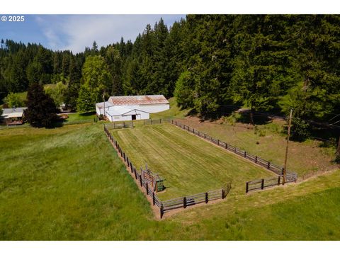 Tiny photo for 77690 Brock Rd, Oakridge, OR 97463 (MLS # 203141613)