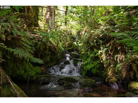 Tiny photo for 77690 Brock Rd, Oakridge, OR 97463 (MLS # 203141613)