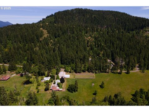 Tiny photo for 77690 Brock Rd, Oakridge, OR 97463 (MLS # 203141613)