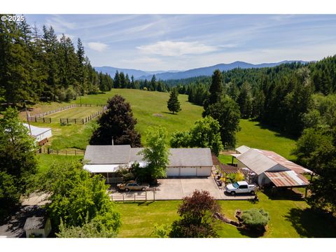 Photo of 77690 Brock Rd, Oakridge, OR 97463 (MLS # 203141613)