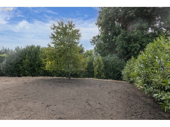 Dundee, Oregon 97115, United States, 3 Bedrooms Bedrooms, ,2 BathroomsBathrooms,Residential,Pending,194476