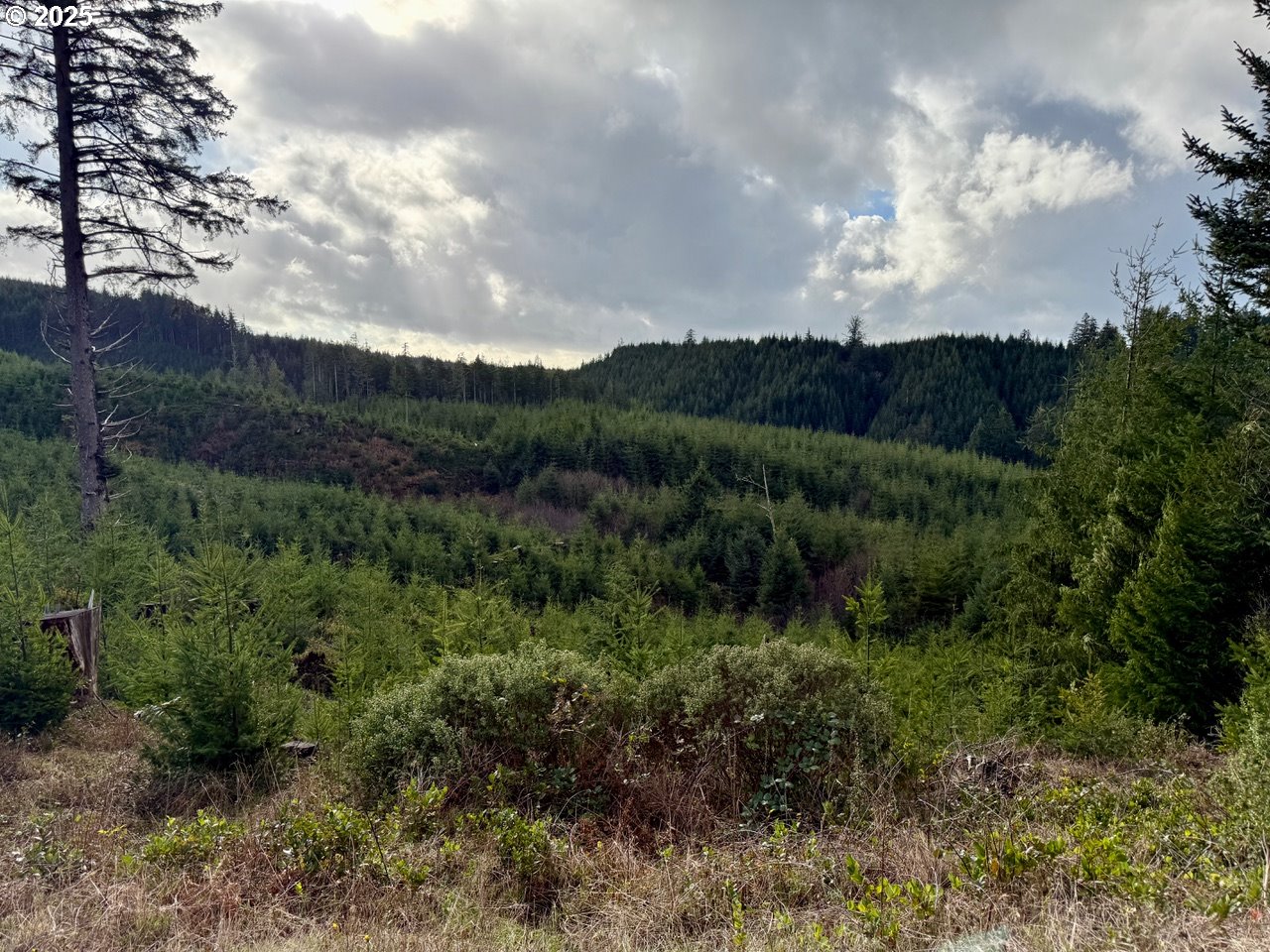 900 TL Off E. Gleneda Rd