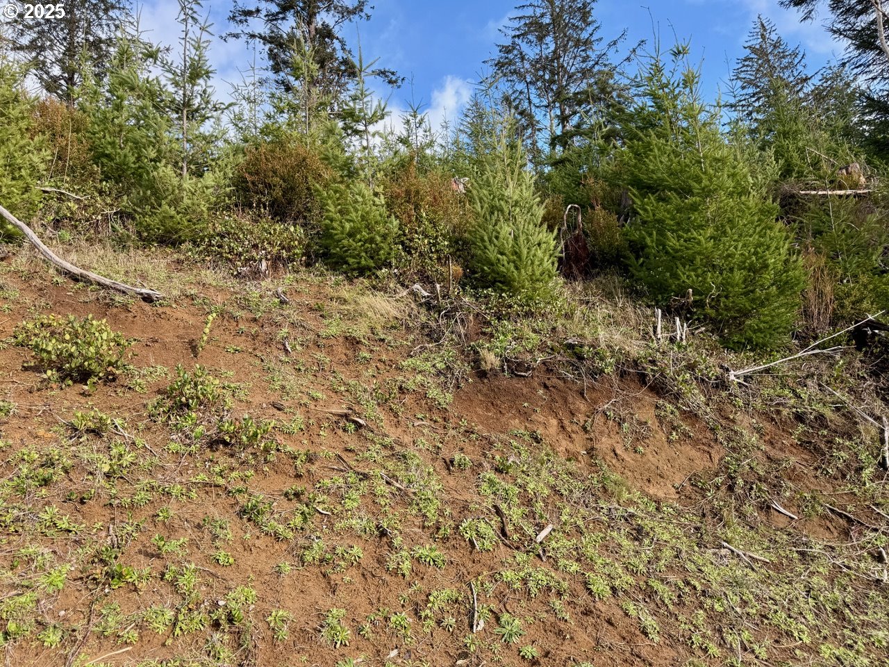 900 TL Off E. Gleneda Rd