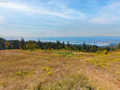 1 Green Mountain RD Lot D Kalama WA 98625