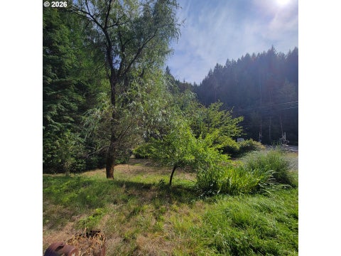 Tiny photo for 47501 Westoak Rd, Westfir, OR 97492 (MLS # 482212960)