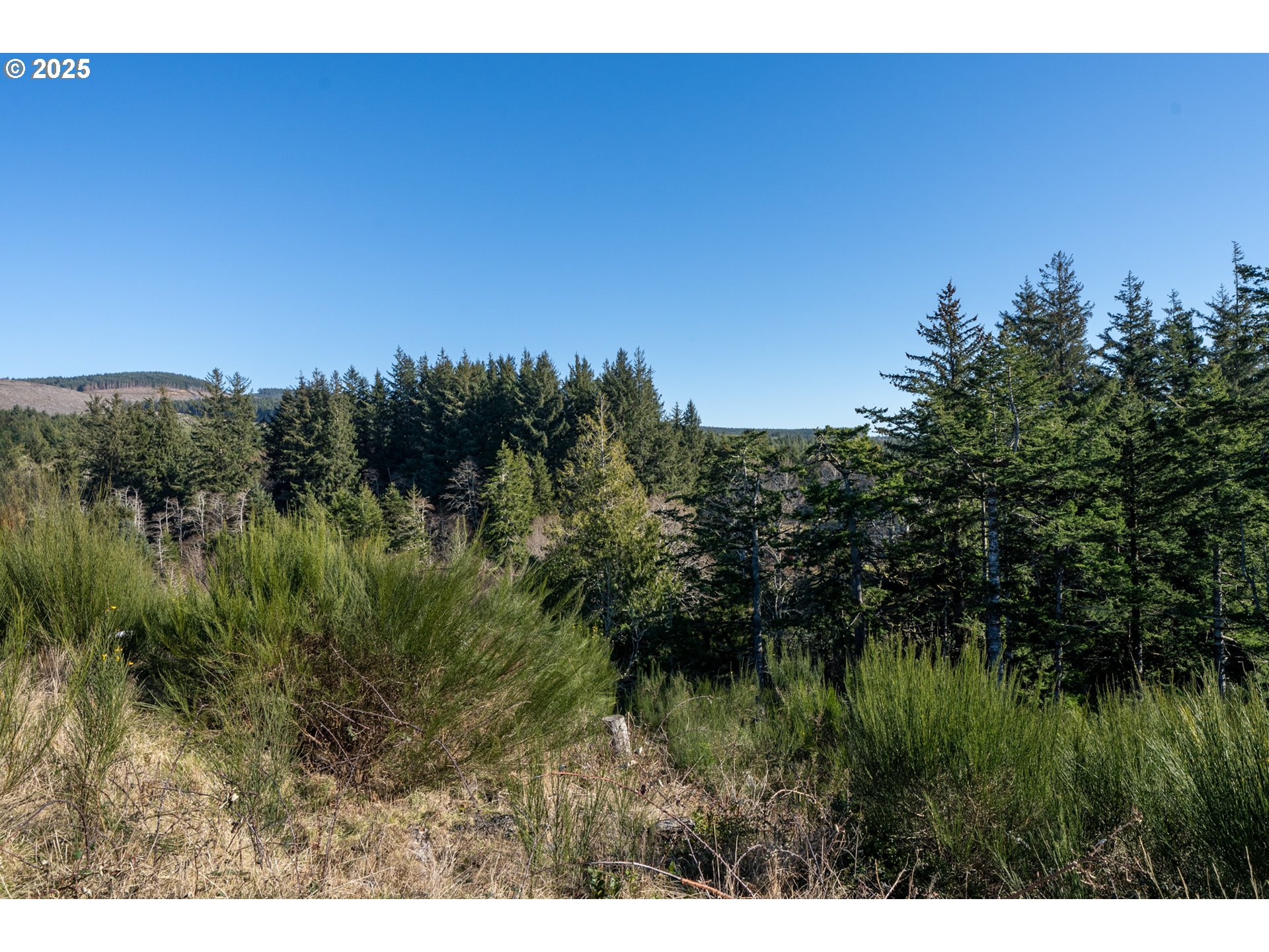 Oceanside, Oregon 97134, United States, ,Land,Active,9466