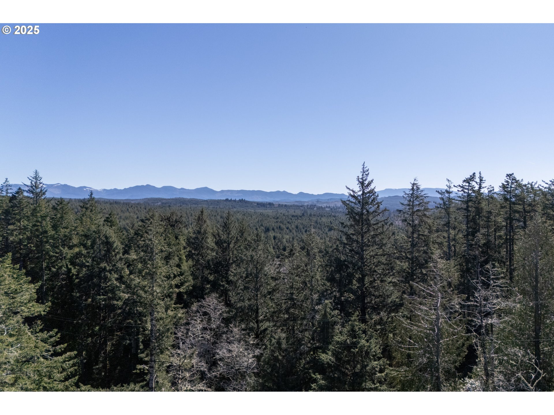 Oceanside, Oregon 97134, United States, ,Land,Active,9466