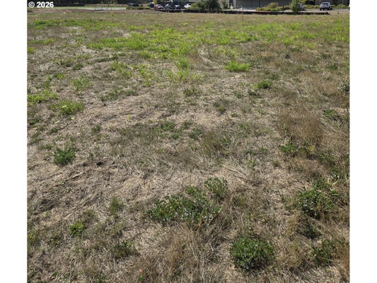 128 E AIREDALE AVE, LA CENTER, WA 98629 - Image c05942e56687fb31b03e9bb6b949197b/2316735009
