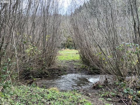 A home in Port Orford