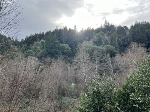 A home in Port Orford