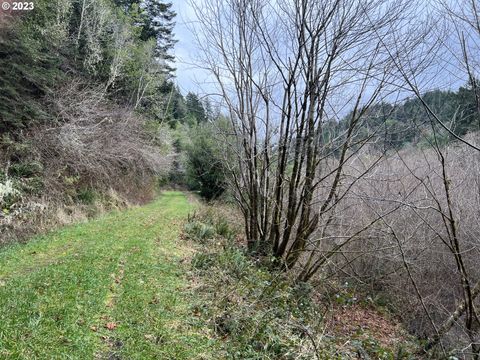 A home in Port Orford