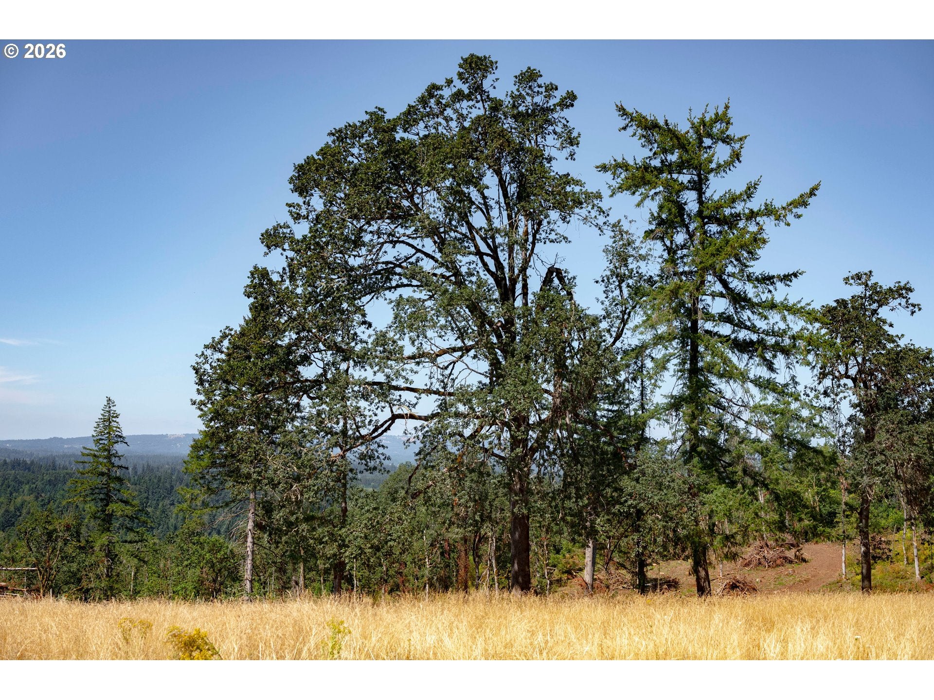 28797 SW PETES MOUNTAIN RD