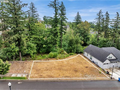Photo of 4403 SE Ascension Dr, Camas, WA 98607 (MLS # 414532107)